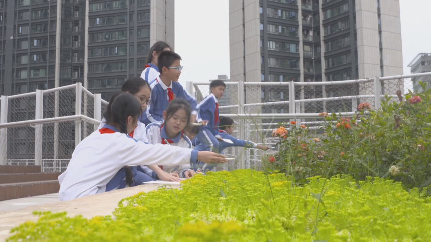 一所看得见孩子童年和未来的学校